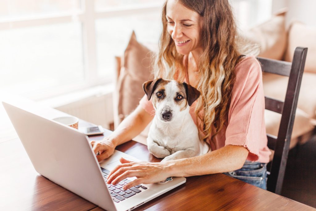 Employee at hybrid work